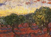 Vincent Van Gogh Olive Grove USA oil painting artist